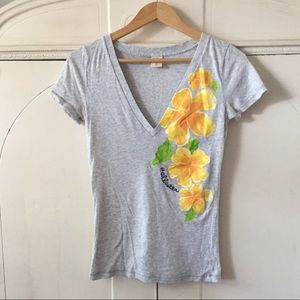 Hollister V-Neck Tee